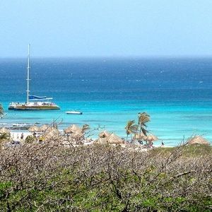 Meet your Posher, Adele